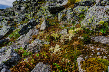 Khibiny Mountains. Ski resort- Arctic region of Russia is a popular hiking trail