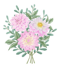 Pink flowers watercolor dahlia illustration. pink dahlia isolated on white background.