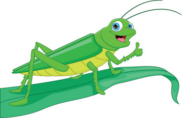 cute cartoon grasshopper thumbs up