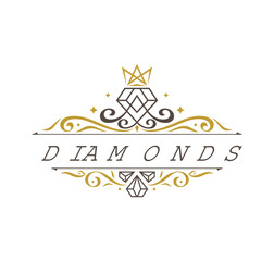 luxury shining diamond logo design