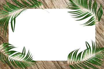 green botanical tropical palm leaves frame on transparent background