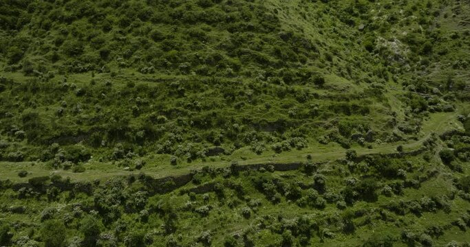 Ancient Agricultural Terraces Covered With Vegetation In Rural Town Of Aspindza At Paravani River In Georgia. Old Farming Practices. aerial drone pan right