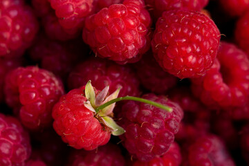 Background of macro berries of ripe and juicy raspberries