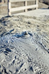 A mud volcano and a stream of grey clay from an eruption and gas escape. Cracked soil surface. Texture of a mudflow
