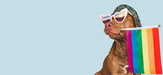 Lovable, pretty dog and Rainbow Flag. Close-up, indoors. Studio photo. Congratulations for family, loved ones, relatives, friends and colleagues. Pets care concept