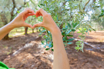 Girl making a heart with her hands on olive trees background, Puglia, Italy.