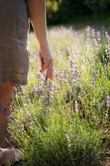 The girl sit in the middle of a lavender field