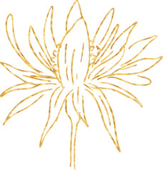 Gold flower hand drawn illustration