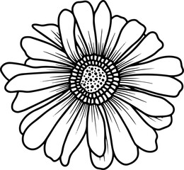 Hand Drawn Flower Sketch Line Art
