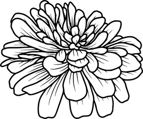 Hand Drawn Flower Sketch Line Art
