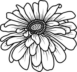 Fototapeta premium Hand Drawn Flower Sketch Line Art 