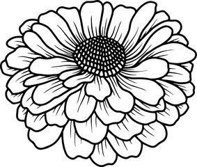 Hand Drawn Margot Illustration
