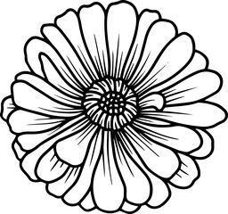 Margot Line Art Illustration
