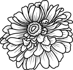 Hand Drawn Margot Sketch Line Art
