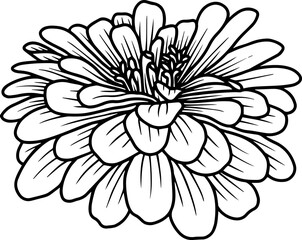 Hand Drawn Margot Sketch Line Art
