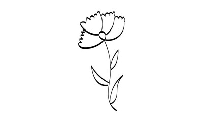 Black silhouettes, flowers and herbs isolated on white background. Hand drawn sketch flower