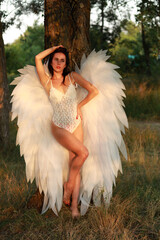 Beautiful brunette woman with white wings