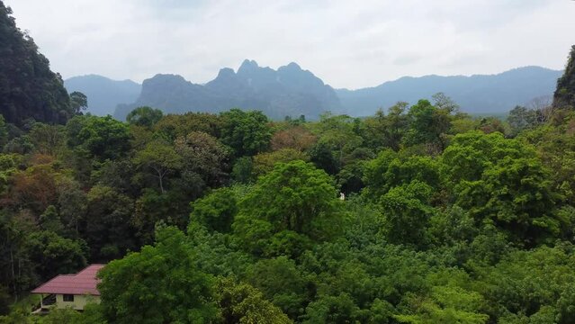 Flying above the trees, villages, and the jungle landscape of Khao Sok National Park with rock formations in the background in Thailand in Southeast Asia