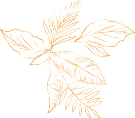 gold leaf line drawing