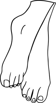 recommend clip art: Female hands and feet. Manicure and pedicure concept. Vector Illustration in trendy outline style