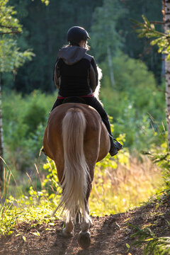 Woman horseback riding in forest parth