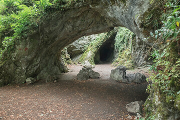 wejście do jaskini w lesie