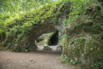 wejście do jaskini w lesie