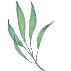 Naklejka premium Leaf Watercolor