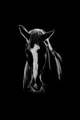 Fine art horse front with back light