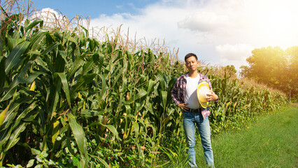 Naklejka na ściany i meble A young farmer is in a corn field, standing at his waist holding a hat and wearing a plaid shirt.