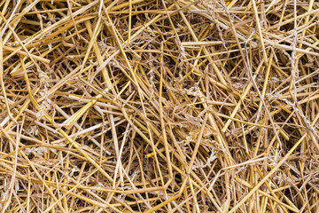 Background of the old wheat straw on a heap