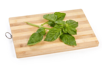 Twig of the green basil on the cutting board