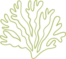 seaweed line art drawing