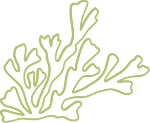 seaweed line art drawing