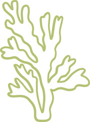 seaweed line art drawing