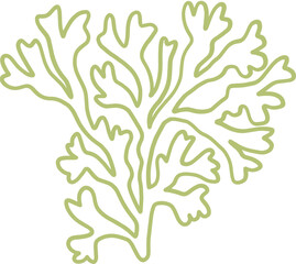 seaweed line art drawing
