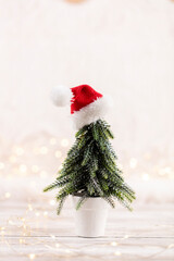 Obraz na płótnie Canvas Christmas tree and newyear decoration.