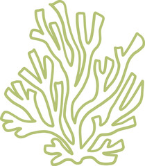 seaweed line art drawing