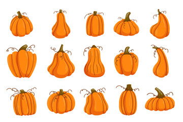 Pumpkins collection in flat style on white background. Set of autumn orange vegetable. Harvest, Thanksgiving day and Halloween cartoon illustration