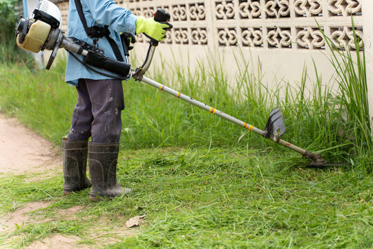Grass cutter online person