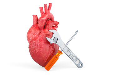 Human heart with screwdriver and wrench. 3D rendering