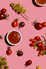 Tomato sauce ketchup and fresh tomatoes on branch on colorful pink bright background, hard light, flat lay