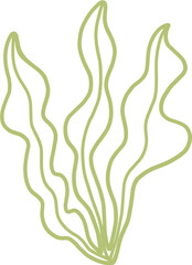 seaweed line art drawing