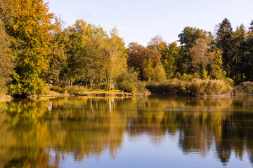 Fototapeta na wymiar Stiller Weiher im goldenen Licht des Herbstes, Bäume, Spiegelungen, Refletkion