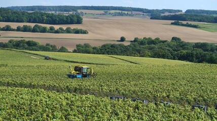 Agriculture / viticulture dans la Marne en Champagne Ardenne, paysage de champs et de vignoble avec un tracteur enjambeur réalisant un travail d’effeuillage dans la vigne en été (France)