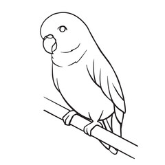 Coloring page for book with cute cartoon budgie. Educational kids activity page and worksheet with little parrot. Cartoon Isolated vector illustration.