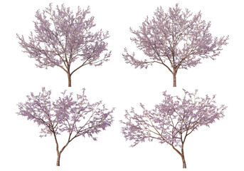 The tree has flowers on a transparent background
