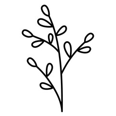 handdrawn doodle leaves png.