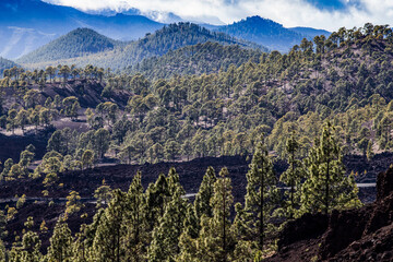 amazing landscape in El Teide national park