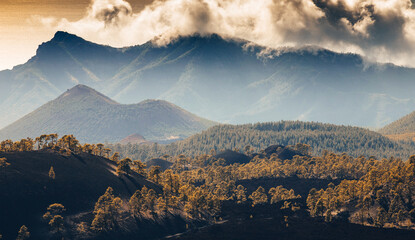 Fototapeta premium amazing landscape in El Teide national park